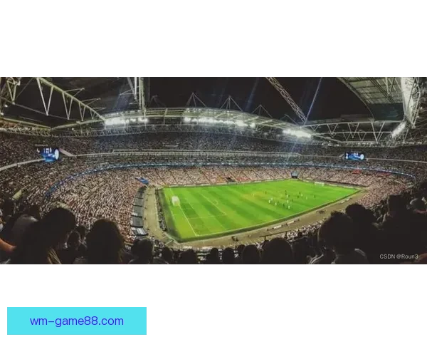 围绕完美体育篮球投注策略解析与投注技巧全面指南实战经验分享与风险控制方法