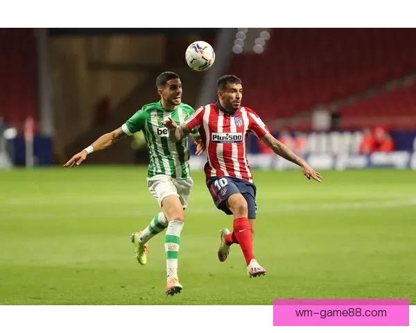 体育竞猜投注策略全面解析助你精准预测赛事结果提升盈利技巧